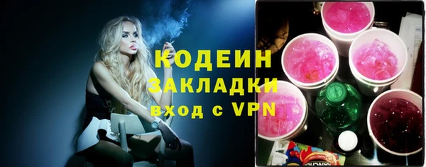 индика Нязепетровск