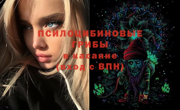 дурь Болотное