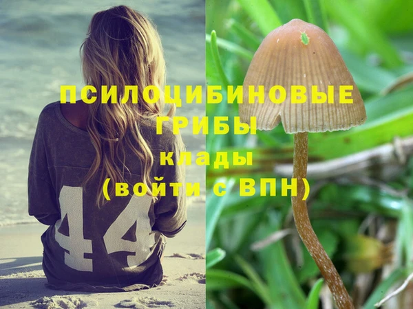индика Нязепетровск