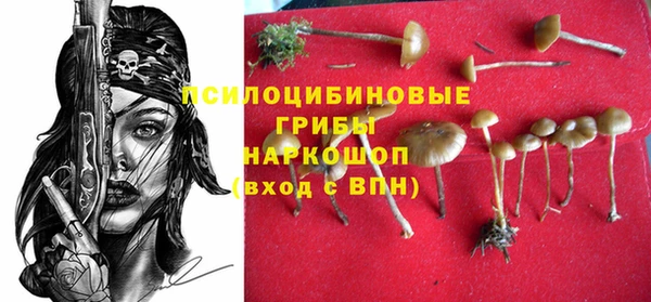 винт Няндома