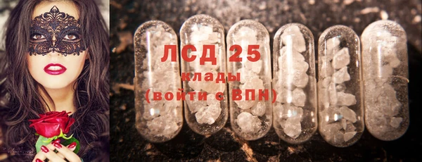 дурь Болотное