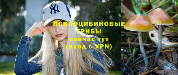 винт Няндома